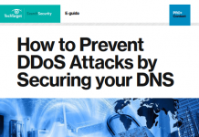 How to Prevent DDoS Attacks by Securing your DNS