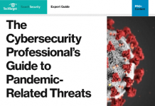 The Cybersecurity Professionals Guide to Pandemic Related Threats