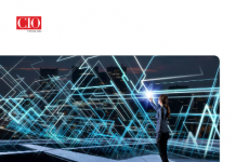 A Public Sector Guide to Getting More From IT