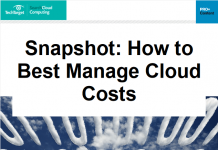Snapshot: How to Best Manage Cloud Costs