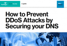 How to Prevent DDoS Attacks by Securing your DNS