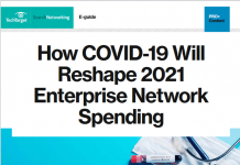 How COVID-19 Will Reshape 2021 Enterprise Network Spending