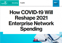 How COVID-19 Will Reshape 2021 Enterprise Network Spending
