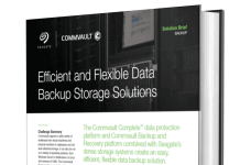 Efficient and Flexible Data Backup Storage Solutions Efficient and Flexible Data Backup Storage Solutions