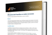 Efficacité de Dell PowerStore en matière de données Efficacité de Dell PowerStore en matière de données