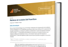 Resilience de la solution Dell PowerStore Resilience de la solution Dell PowerStore